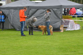 DSC_4349.jpg