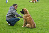 DSC_4352.jpg