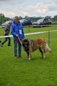 DSC_4358.jpg