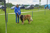 DSC_4361.jpg