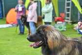DSC_4364.jpg
