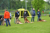 DSC_4373.jpg