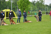 DSC_4374.jpg