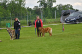DSC_4376.jpg