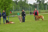 DSC_4377.jpg