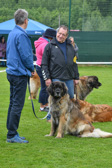 DSC_4378.jpg