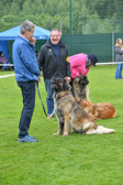 DSC_4379.jpg