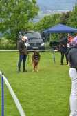 DSC_4392.jpg