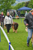 DSC_4398.jpg