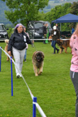 DSC_4401.jpg