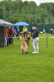 DSC_4408.jpg
