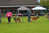 DSC_4412.jpg