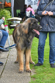 DSC_4428.jpg