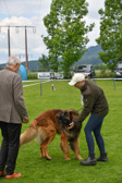 DSC_4429.jpg
