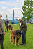 DSC_4431.jpg