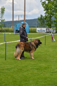 DSC_4433.jpg