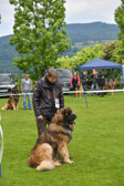DSC_4438.jpg