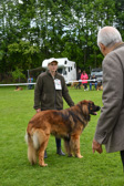 DSC_4441.jpg