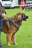 DSC_4442.jpg