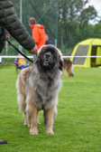 DSC_4448.jpg
