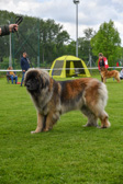 DSC_4450.jpg