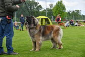 DSC_4452.jpg