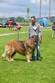 DSC_4464.jpg