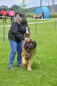 DSC_4483.jpg
