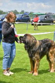 DSC_4506.jpg