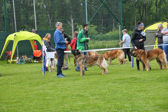 DSC_4511.jpg