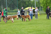 DSC_4512.jpg