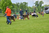 DSC_4513.jpg