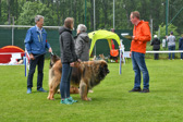 DSC_4519.jpg