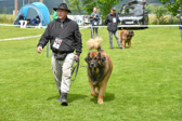 DSC_4534.jpg