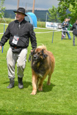 DSC_4535.jpg