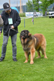 DSC_4539.jpg
