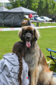 DSC_4544.jpg