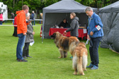 DSC_4551.jpg
