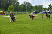 DSC_4583.jpg