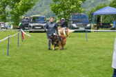 DSC_4596.jpg
