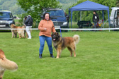 DSC_4602.jpg