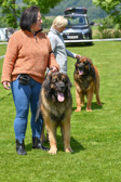 DSC_4632.jpg
