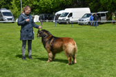 DSC_4634.jpg