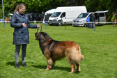 DSC_4636.jpg