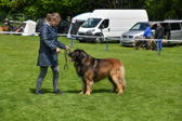 DSC_4637.jpg