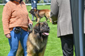 DSC_4638.jpg