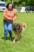 DSC_4644.jpg