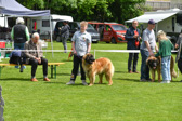 DSC_4696.jpg