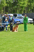 DSC_4706.jpg