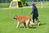 DSC_4708.jpg